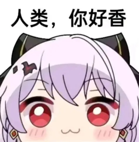 写了一个telegram bot，各位可以来提提意见喵